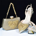 Italian Shoes And Bag Sets For Evening Party HAB1-16 - URBANPICK FASHION